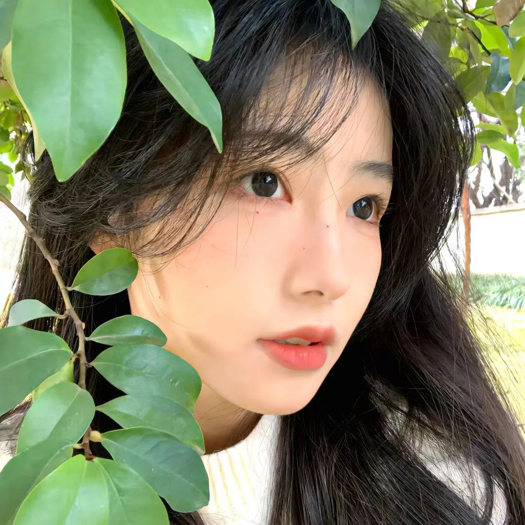爱的3.14159 在线观看